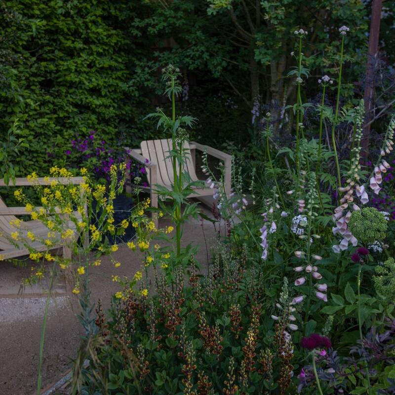 childrens society garden chelsea 26 photo jim powell 5  