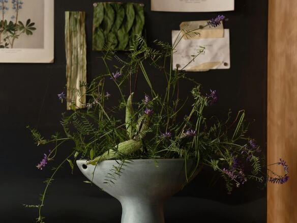 field studies flora danny kaplan kloris no 1 vase  