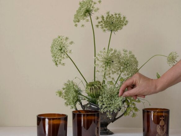 quiet botanist in the weeds candle crop  