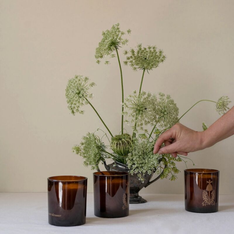 quiet botanist in the weeds candle crop  
