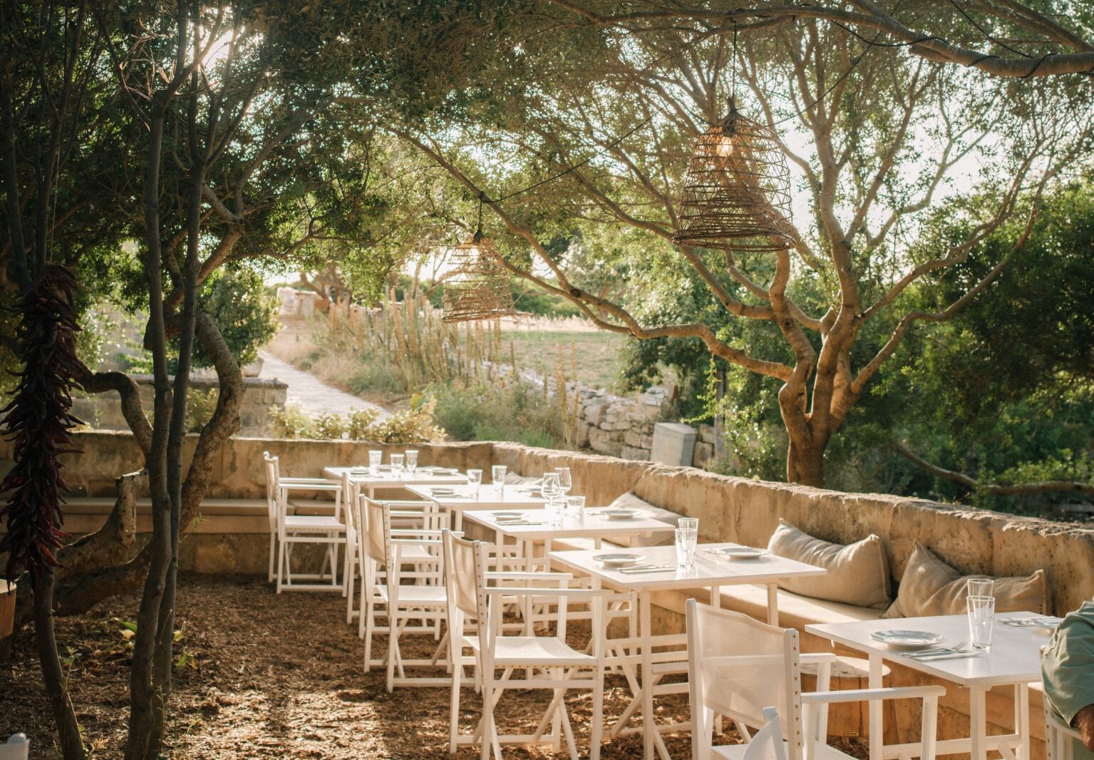 cantina menorca dave watts crop  