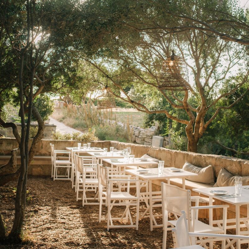 cantina menorca dave watts crop  