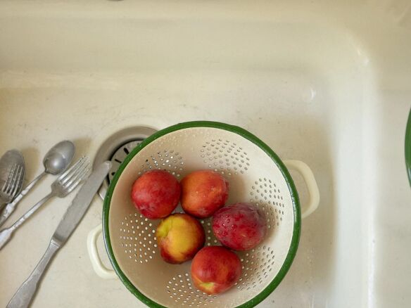 june enamel colander  