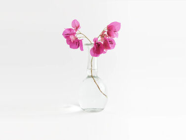 mohawk general store la soufflerie cappelli vase clear  