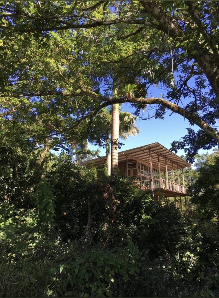 jesse kamm's panama cabin in surf shacks 6