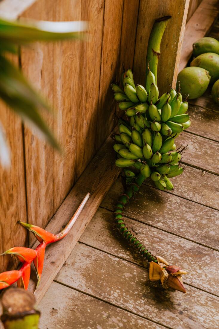 surf shacks jesse kamm panama cabin 8