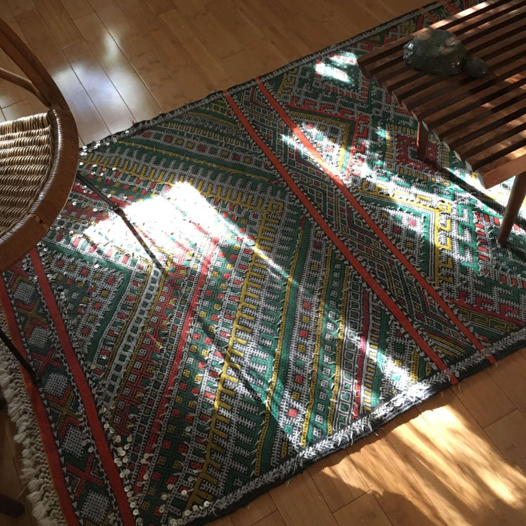 rug with shadows 13