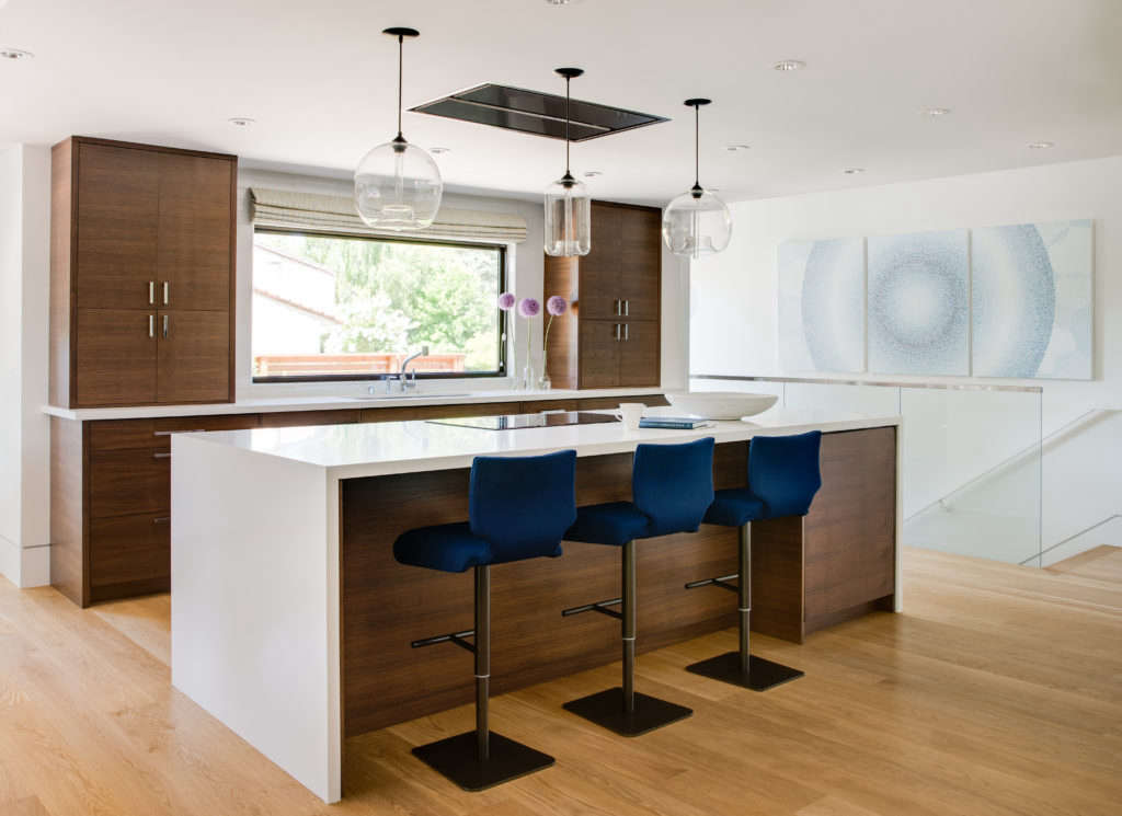 dark cabinetry paired with the brightest whites 9